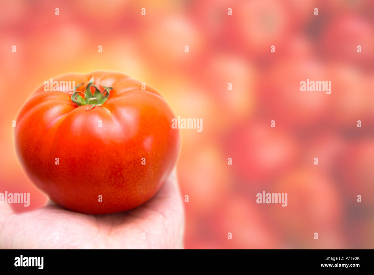 Tomatenrot frisches Gemüse Stockfoto