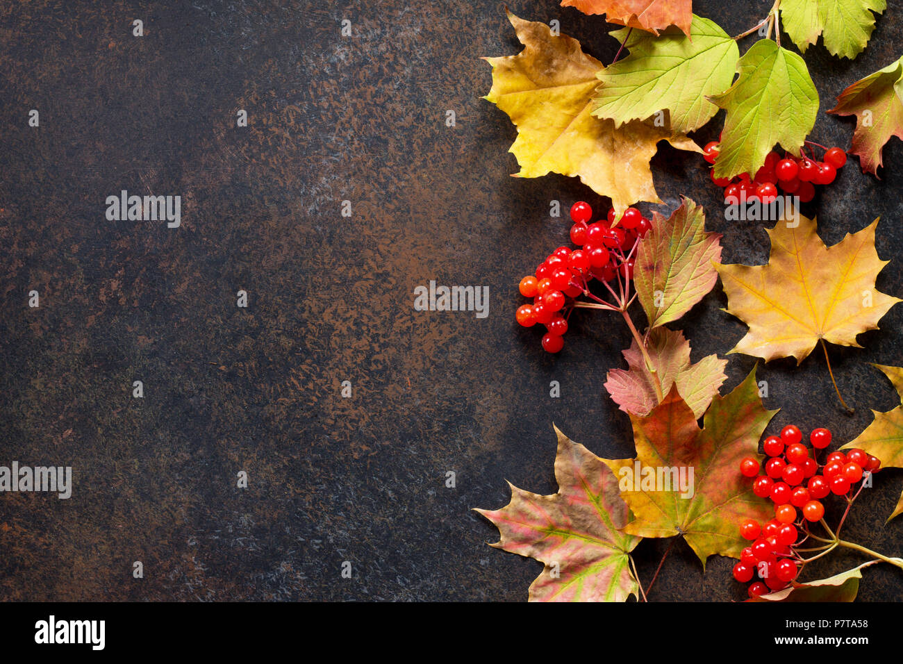 Herbst Hintergrund mit Herbst ahorn rot und orange Blätter, Pilze und Beeren auf schiefer Hintergrund. Stockfoto
