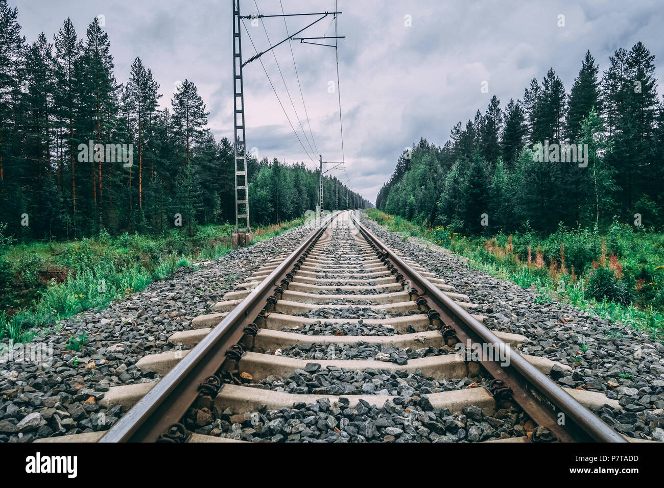 Finnland, Eisenbahnschienen whit Stromnetz für die Lokomotiven an einem bewölkten Tag Stockfoto