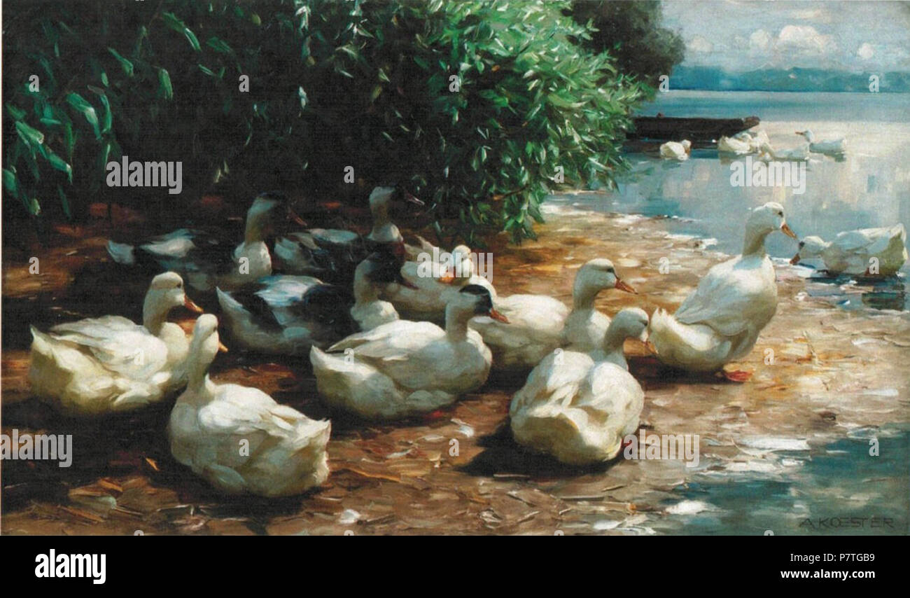 Enten am Seeufer. nicht gegeben 1 'DUcks am Seeufer" von Alexander Koester, Öl auf Leinwand, 73 x 120 cm, Stockfoto