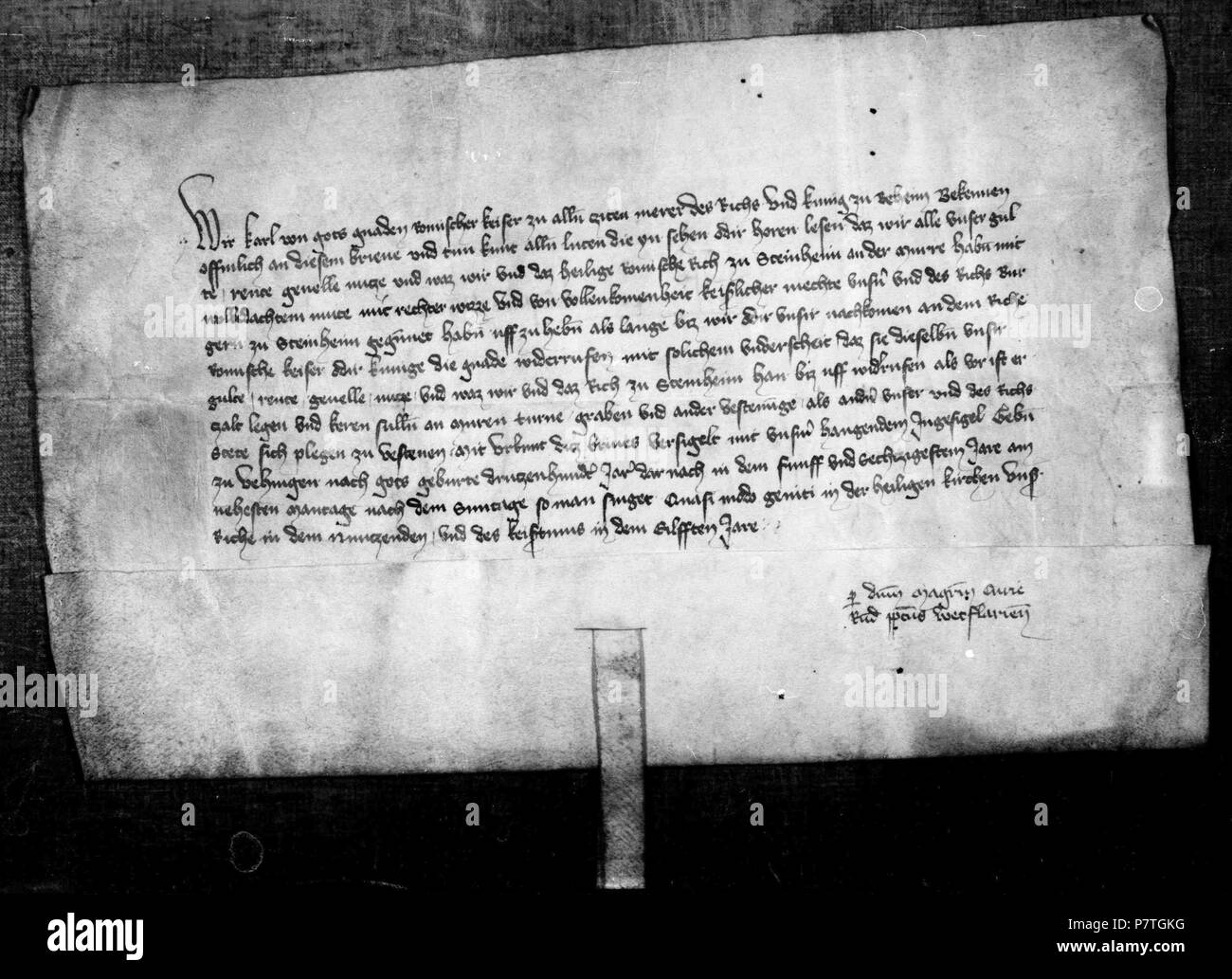 English: Urkunde: Kaiser Karl IV. erlässt den Bürgern Steinheim an der Murr sterben Abgaben, um die Stadtmauern und Gräben zu finanzieren. 21. April 1365 2 13650421 Kaiser Karl IV erlaesst Abgaben Stockfoto