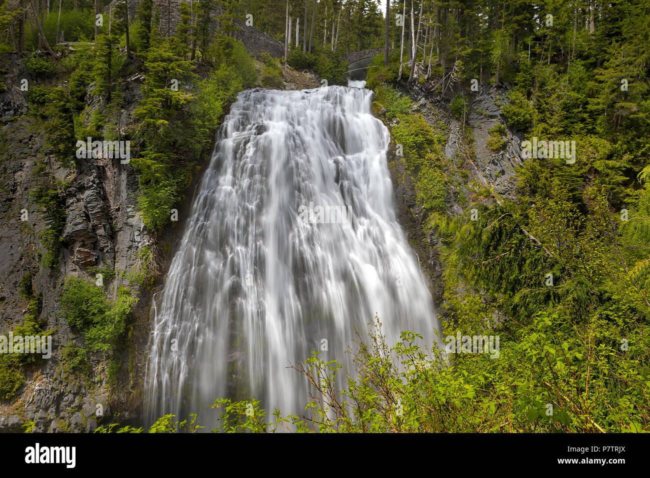 Narada fällt in Mount Rainier National Paek Washington State Stockfoto