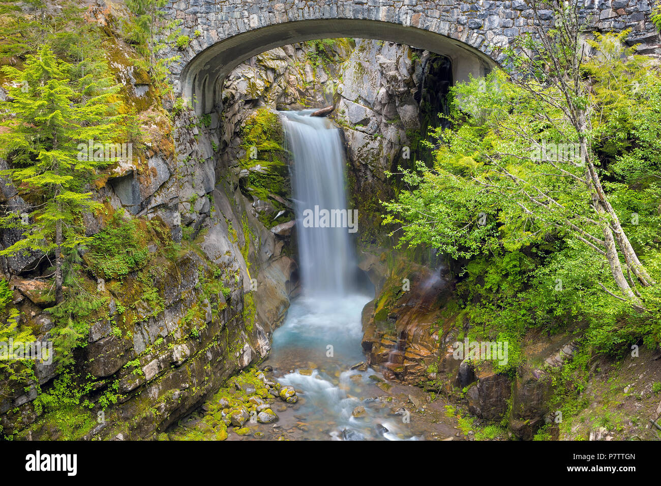 Christine fällt unter Steinerne Brücke entlang Van Trump Creek im Mount Rainier National Park Washington State Stockfoto