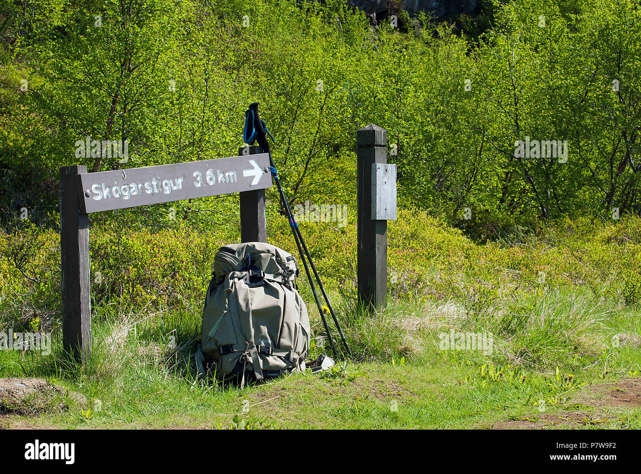 Vatnajokul Nationalpark, Asbyrgi, Island. 5. Juni 2018. Wanderwege sind gut entlang der Asbyrgi Canyon Rim in Vatnajokul Nationalpark, Asbyrgi, Island gekennzeichnet. Credit: Csm/Alamy leben Nachrichten Stockfoto