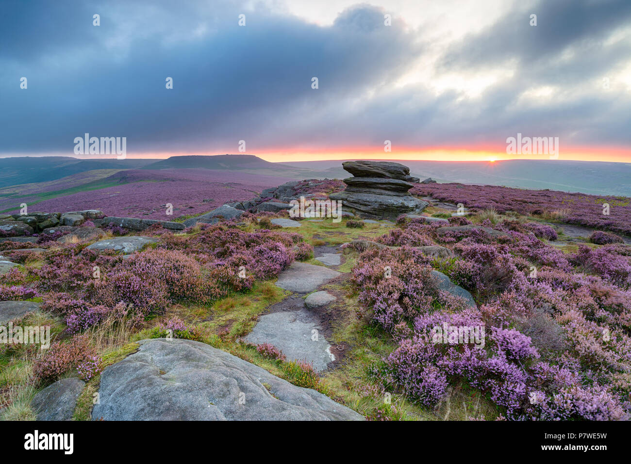 Moody Sommer Sonnenaufgang über Heather an über Owler Tor in der Derbyshire Peak District, mit dem hillfort Carl Wark in der Ferne Stockfoto