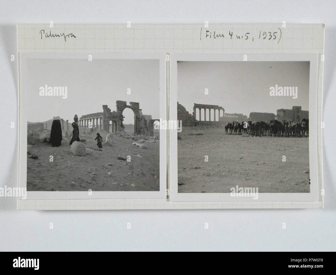 Syrien, Palmyra: Ruinen; Karteikarte: Alltagsleben der Beduinen in Palmyra; Kamelherde. Von 1935 bis 1935 83 CH-NB-Syrien, Palmyra - Ruinen - Annemarie Schwarzenbach - SLA-Schwarzenbach-A -5-05-053 Stockfoto