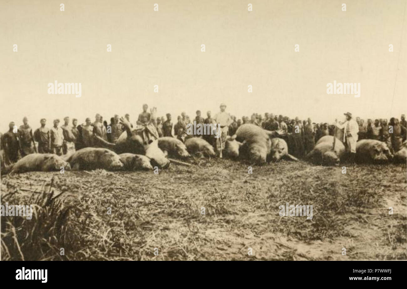 96 Gemeinde 54 Stockfoto