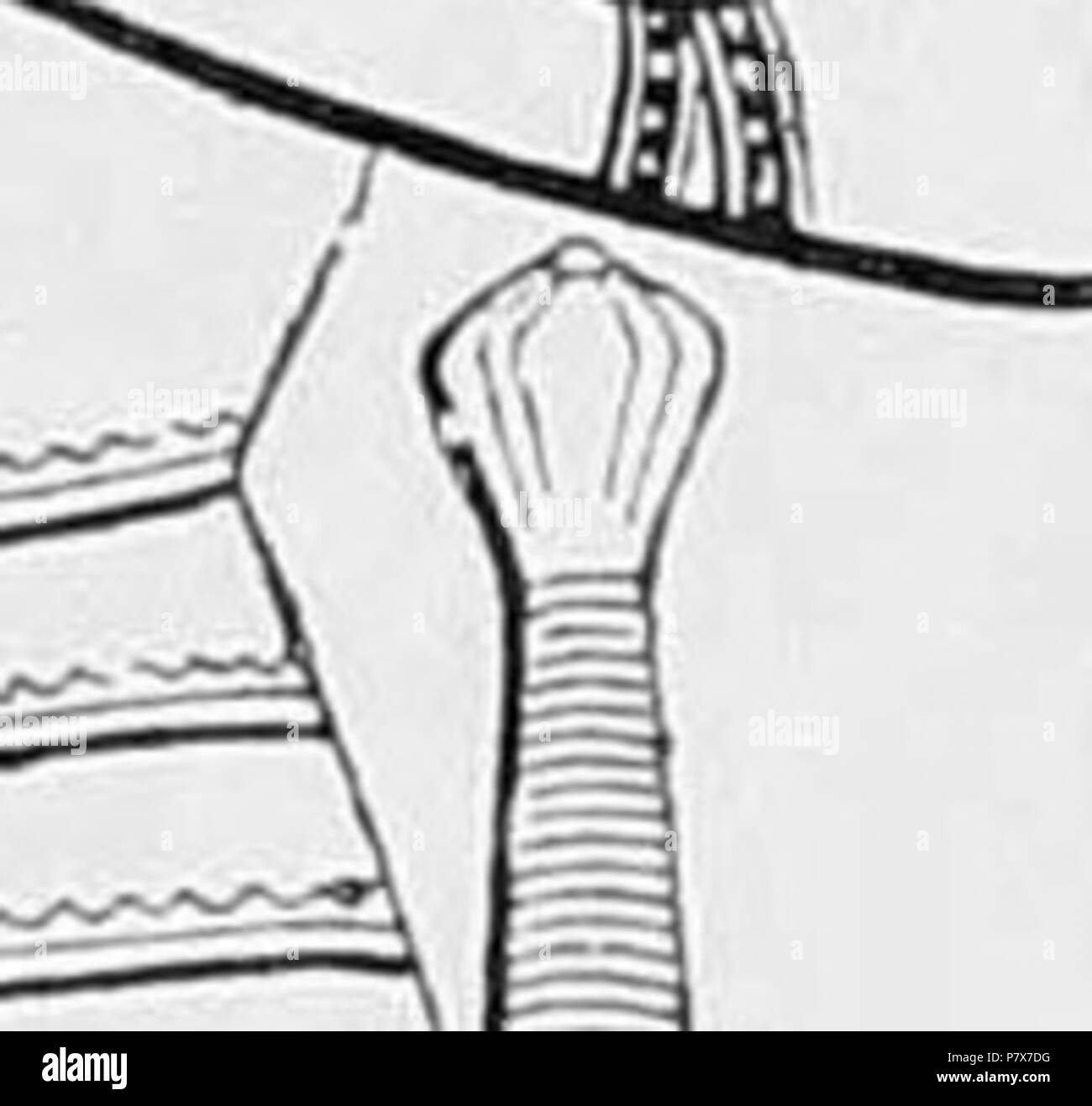 N/A. N/A 372 Thomas braunstone (Detail) Stockfoto