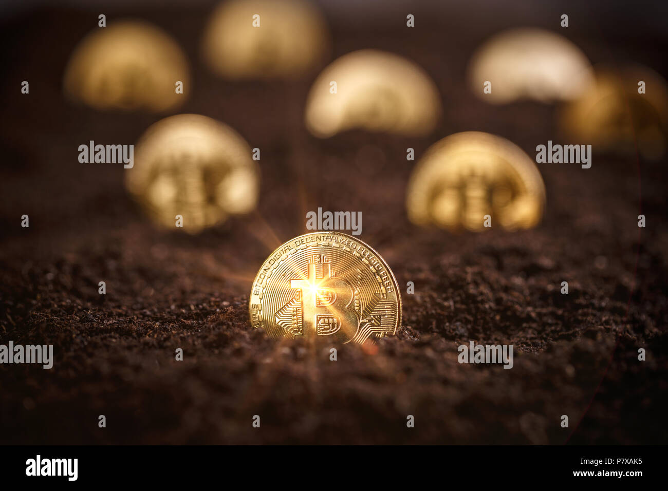 Bergbau Golden Bitcoins, glänzende Münze bitcoin im Boden Stockfoto