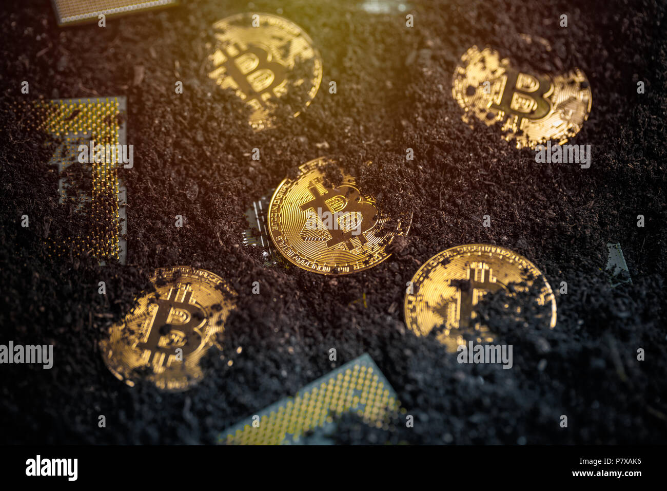 Bergbau Golden Bitcoins, glänzende Münze bitcoin mit Prozessor im Boden Stockfoto