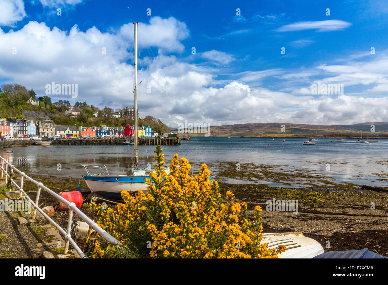 Bunte Geschäfte, Bars, Restaurants, Hotels und Häuser der historischen Hafen in Tobermory, Isle of Mull, Argyll und Bute, Schottland, Großbritannien Stockfoto