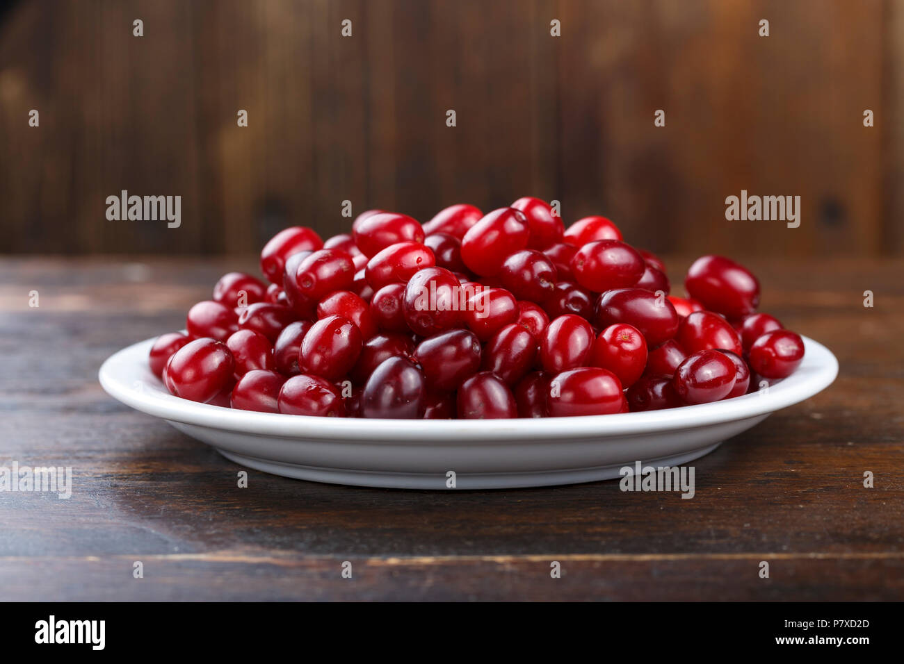 Carneol cherry Hartriegel genießbare Früchte. Frische Hartriegel (Cornus sanguinea) Beeren in runde weiße Schüssel auf dunklem Hintergrund. Stockfoto