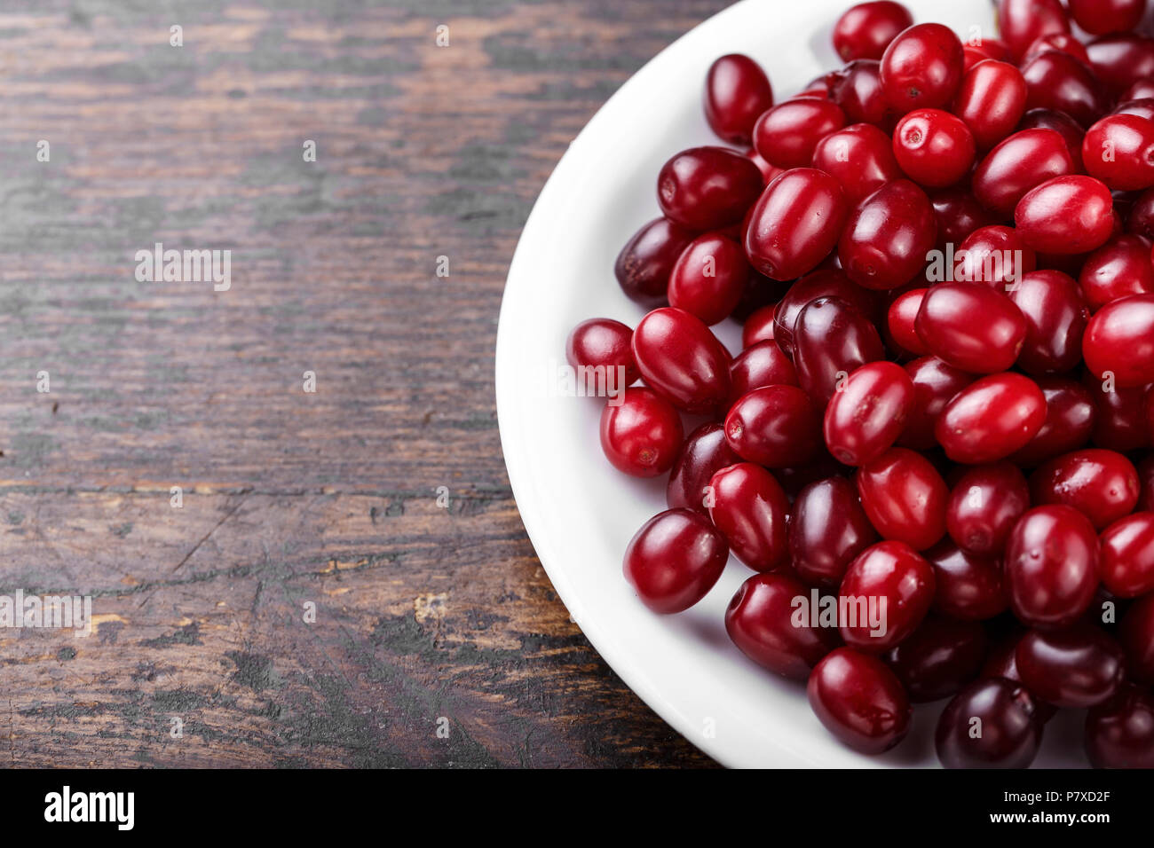 Carneol cherry Hartriegel genießbare Früchte. Frische Hartriegel (Cornus sanguinea) Beeren in runde weiße Schüssel auf dunklem Hintergrund. Stockfoto