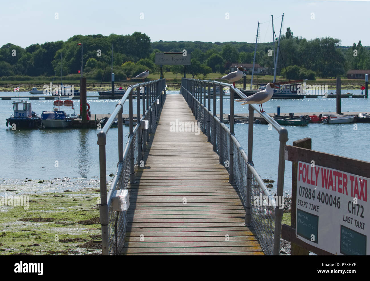 Urlaub auf der Insel des Weißen GROSSBRITANNIEN Stockfoto