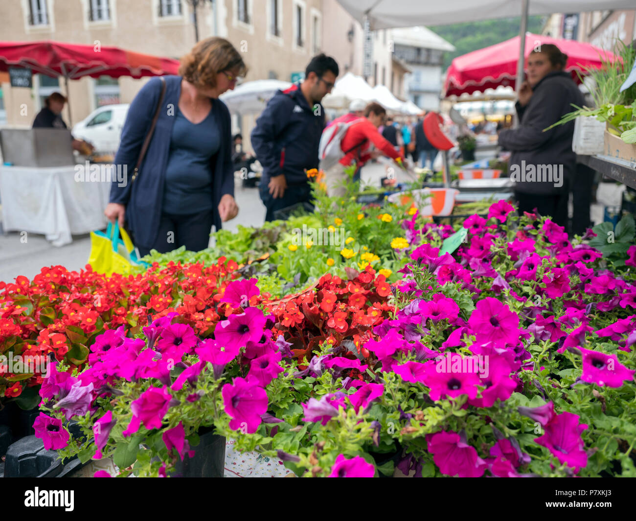 Kunden Blick auf bunte Blumen für den Verkauf am freien Markt in der französischen Stadt Briancon Stockfoto