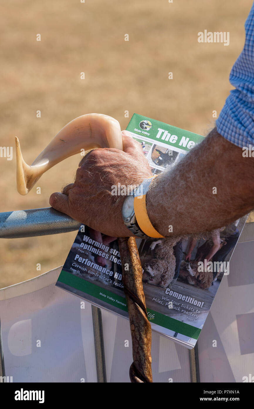 Ein Land Gentleman oder Erzeuger, ein Horn behandelt walking stick auf ein Land oder eine Landwirtschaft zeigen. Stockfoto