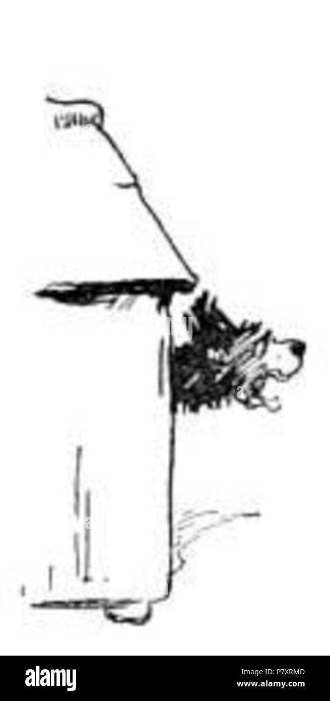 (Nach reusableart Anfrage gelöscht.). Datum unbekannt 158 Heftige kleiner Hund Stockfoto