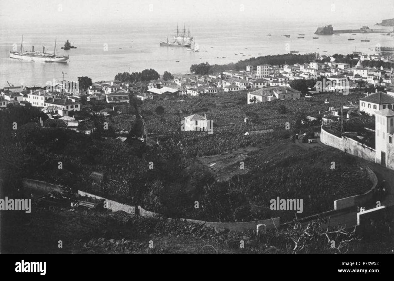 Português: Funchal visto da Estrada Conde de Carvalhal. Funchal, 1920 (c.). Santa Maria Maior, Funchal, Ilha da Madeira. ca. 1920 166 Funchal visto da Estrada Conde de Carvalhal, C. 1920 Stockfoto