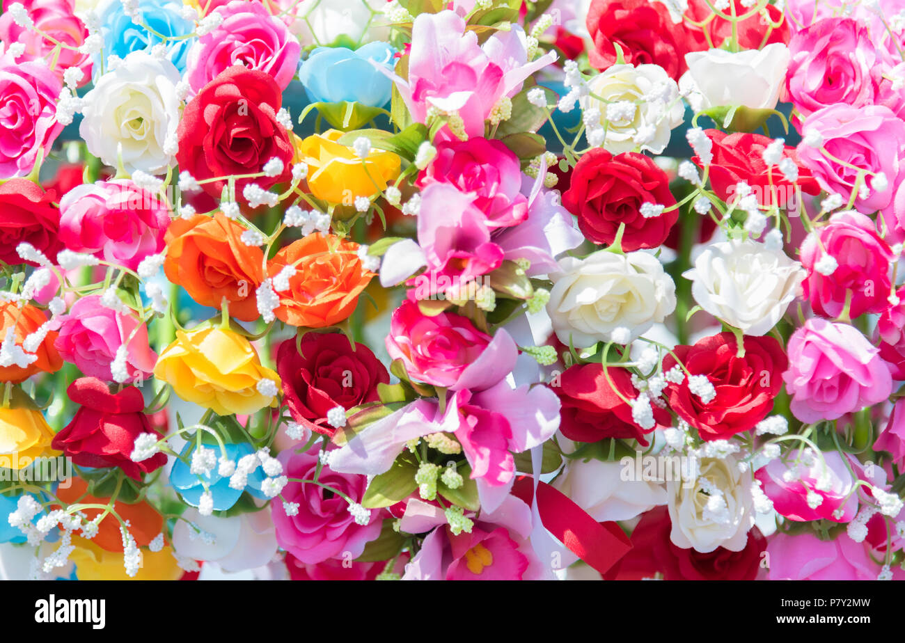 Schone Blumen Bunte Blumen Fur Die Hochzeit Und Die Gratulationen Veranstaltungen Blumen Von Gruss Und Abgestuften Konzept Stockfotografie Alamy