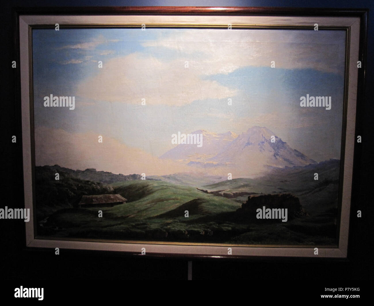 Paramo del Antisana. Datum unbekannt 252 Luis A. Martinez-Paramo del Antisana Stockfoto