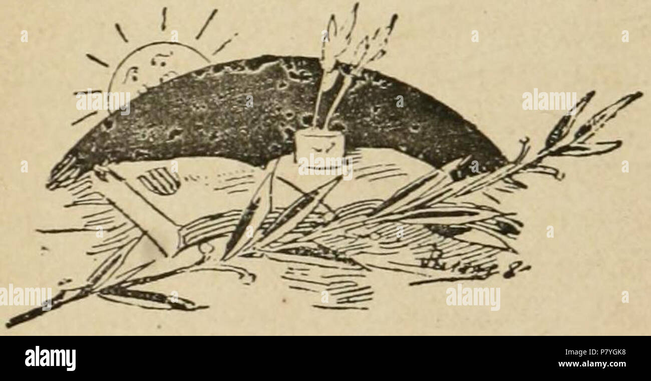 Deutsch: Llibre Obert, un-tinter amb plomes, PLANTES ich Un Sol amb rostre Englisch: geöffnete Buch, Tintenfass, Pflanzen und einem konfrontiert Sun. ca. 1900 295 geöffnete Buch, Tintenfass, Pflanzen und Sun Stockfoto