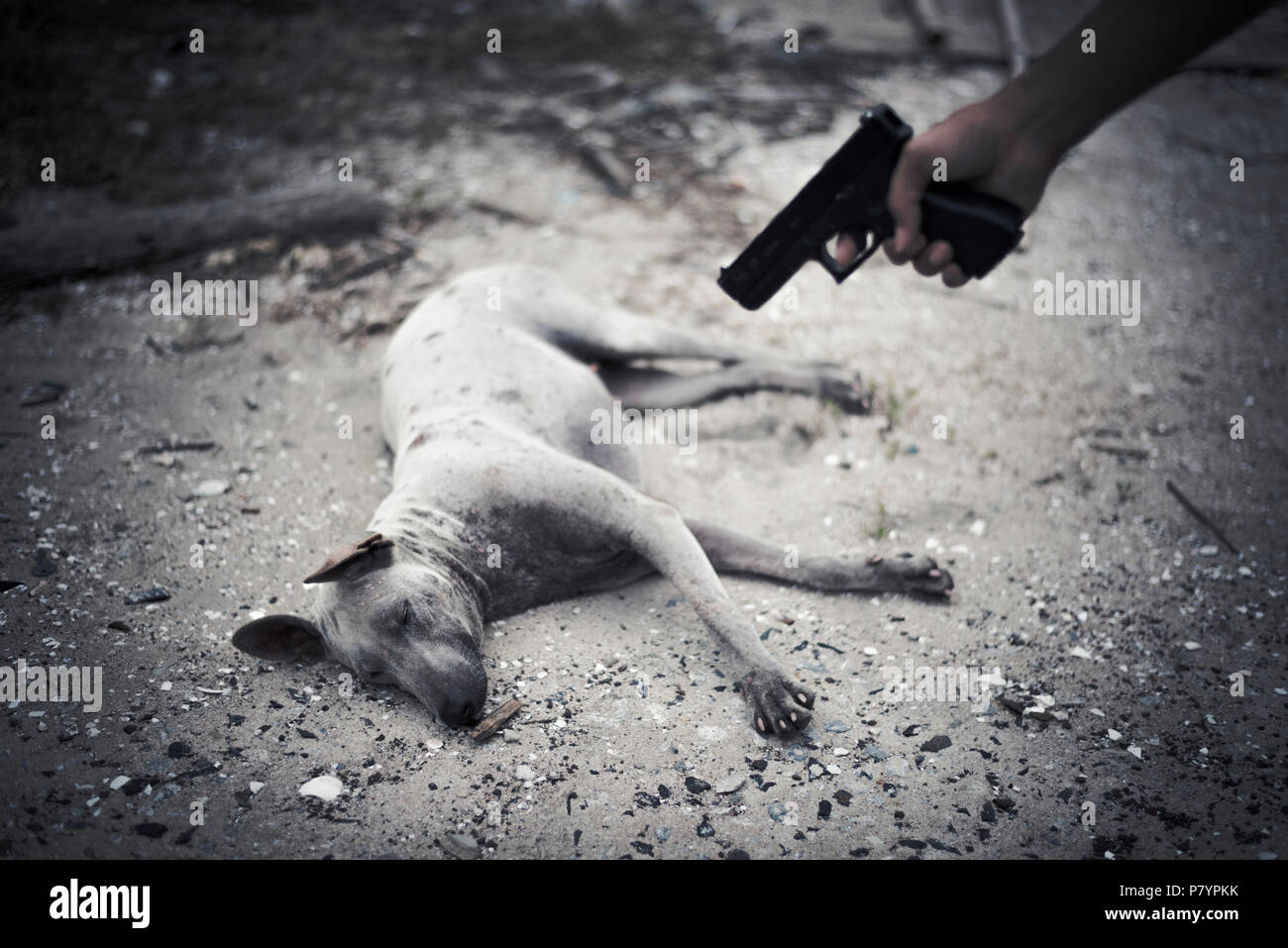 Schlechte Mensch zu Hund und müssen mit der Hand Waffe zu töten. Tier Töten und Morden Konzept, Kriminelle nad Konzept ächten, dunklen Ton und Vignette Stockfoto