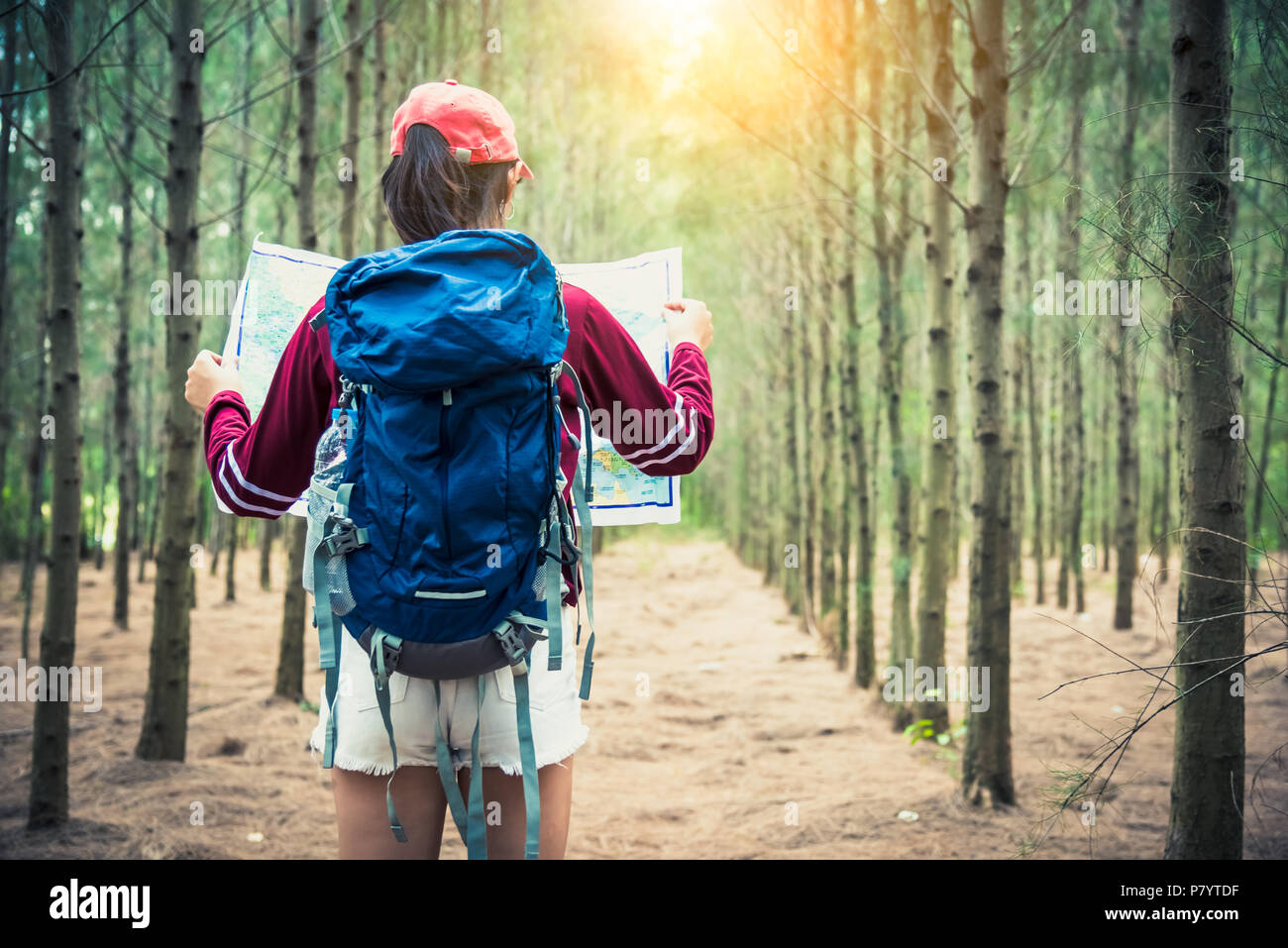 Weibliche touristische Reisen in Pinien reise Wandern im Urlaub. Reise- und wilde Natur Konzept. Lebensstil und die Tätigkeit der Frau. Menschen und im Freien Stockfoto