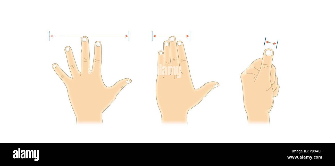 Historische Maßeinheiten. Stockfoto