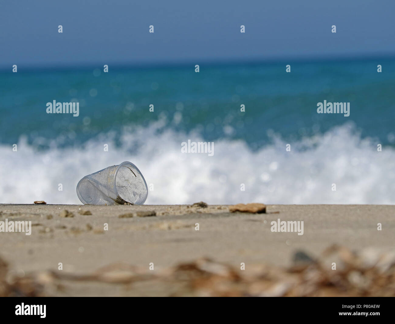 Verworfen, transparenten Kunststoff Schale auf dem Strand zeigt die Verschmutzung der Meere durch plastik Müll Stockfoto