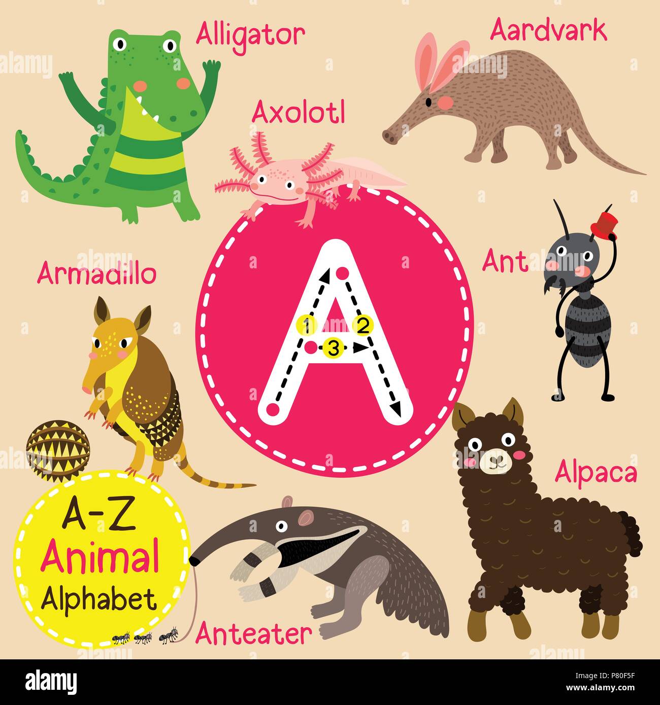 Cute Zoo für Kinder Alphabet A brief Tracing von funny animal Cartoon für Kinder Englisch Vokabeln lernen Stock Vektor
