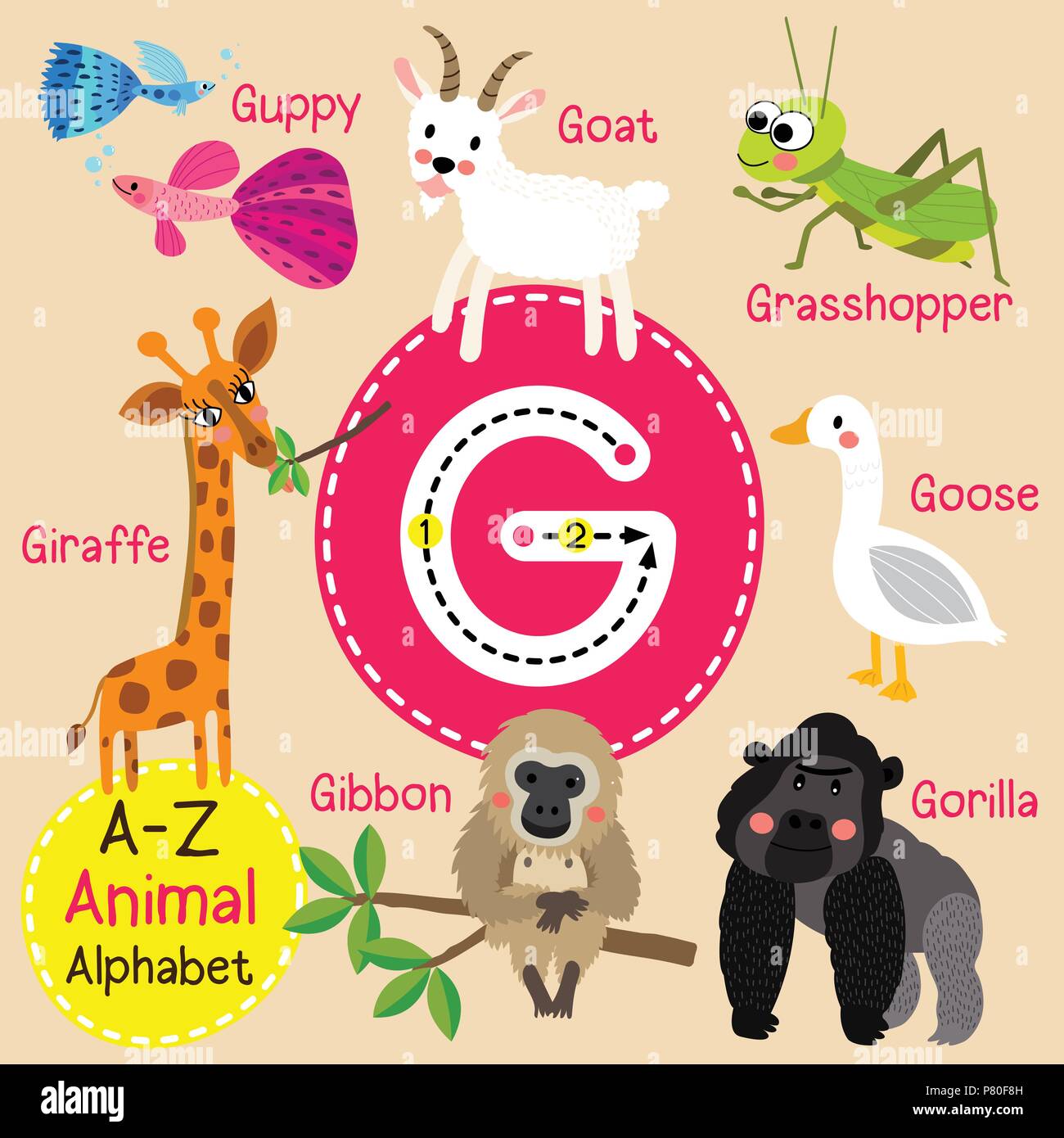 Cute Zoo für Kinder alphabet G schreiben Tracing von funny animal Cartoon für Kinder Englisch Vokabeln lernen Stock Vektor