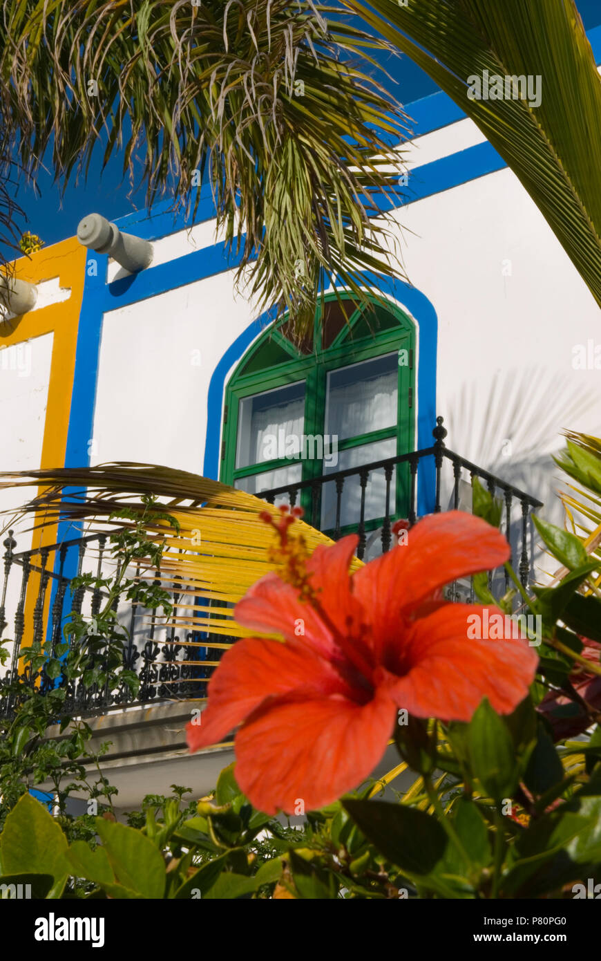 Waterfront Apartment mit Hibiscus in Puerto de Mogan Stockfoto