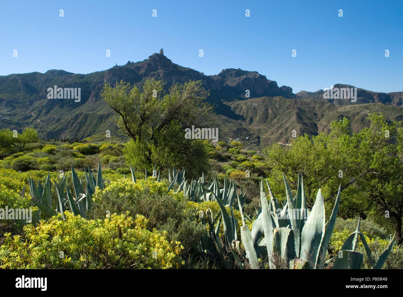 Roque Bentayga und der Landschaft Stockfoto
