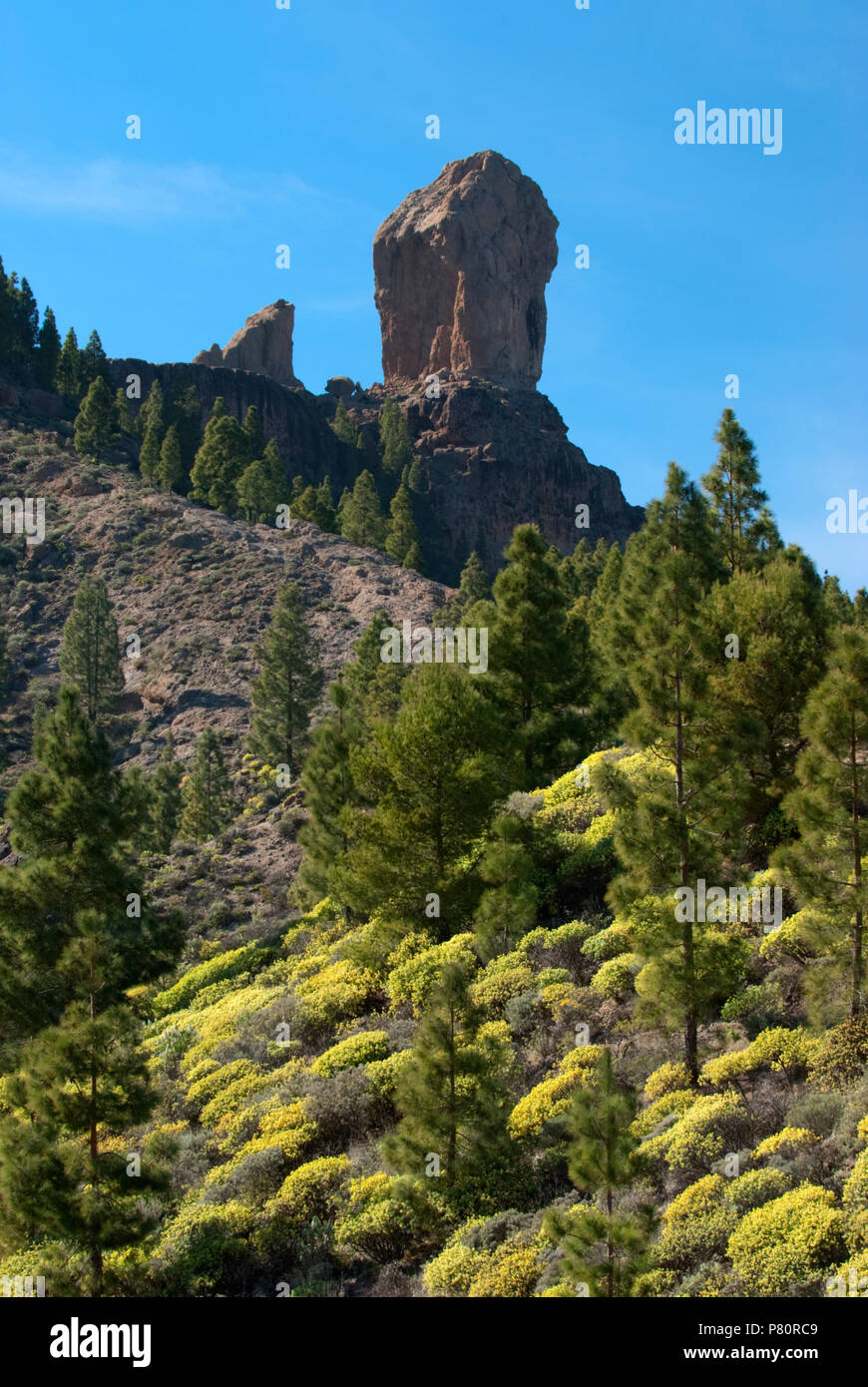 Roque Nublo in der Mitte der Insel Gran Canaria. Stockfoto