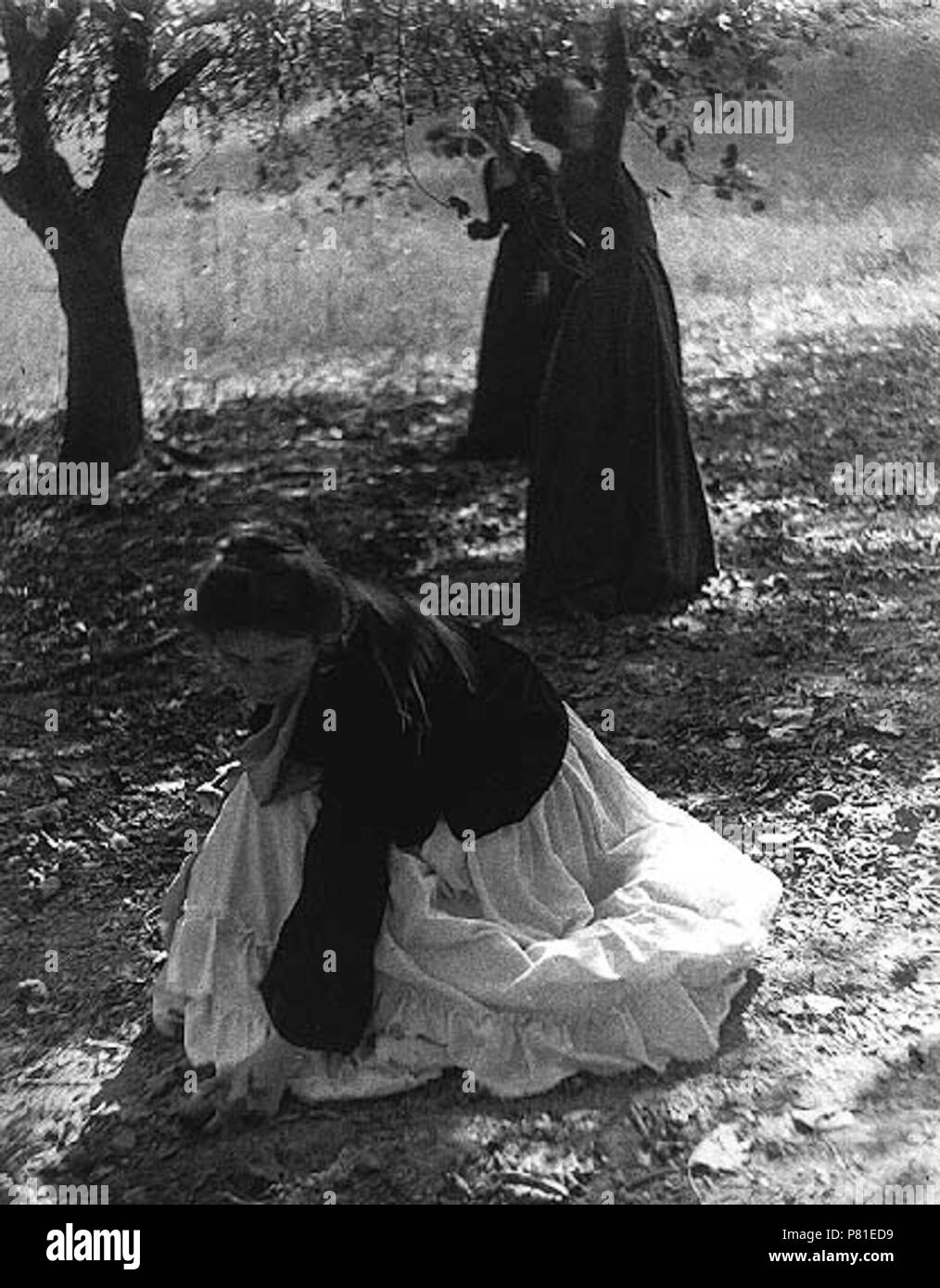 N/A. N/A 399 WEISSE CLARENCE H Der Obstgarten 1902 Stockfoto