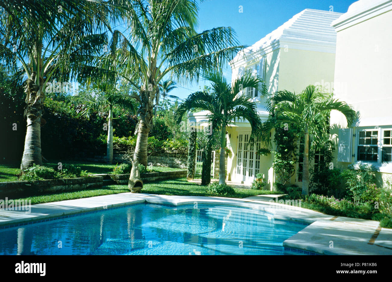 Türkisfarbenen Pool gesäumt mit Palmen im Garten von moderne Villa Fotos