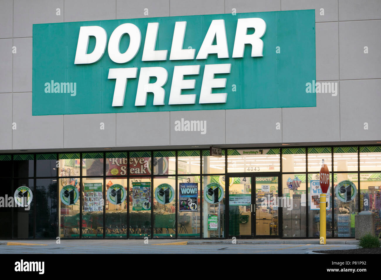 Ein logo Zeichen außerhalb des Dollar Tree Store in Sheboygan, Wisconsin, am 24. Juni 2018. Stockfoto