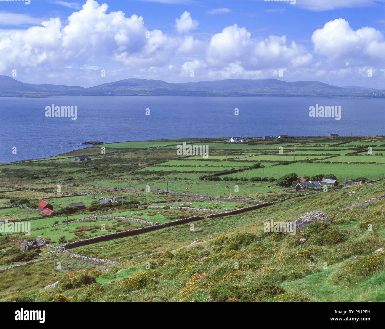An der Küste Blick auf den Ring of Kerry (Morchuaird Chiarrai), County Kerry, Provinz Munster, Republik von Irland Stockfoto