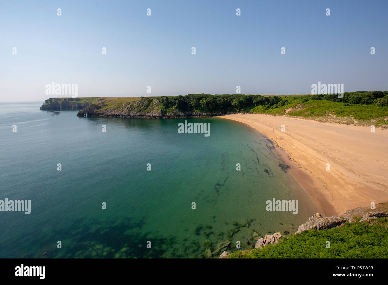 Barafundle Bay Beach in Pembrokeshire, South Wales, Großbritannien Stockfoto