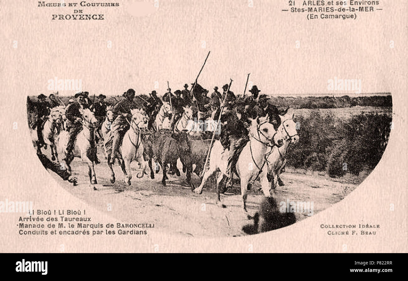 Français: Arrivée à une abrivade de la manade de Folco de Baroncelli-Javon sous la conduite du Marquis. 1 Februar 2012 258 Manade du Marquis Folco de Baroncelli-Javon Stockfoto