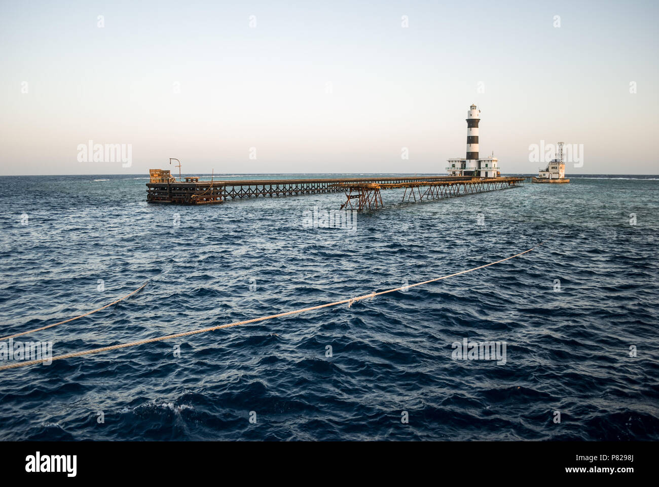 Elphinstone Insel, Rotes Meer, Ägypten, Seil Stockfoto