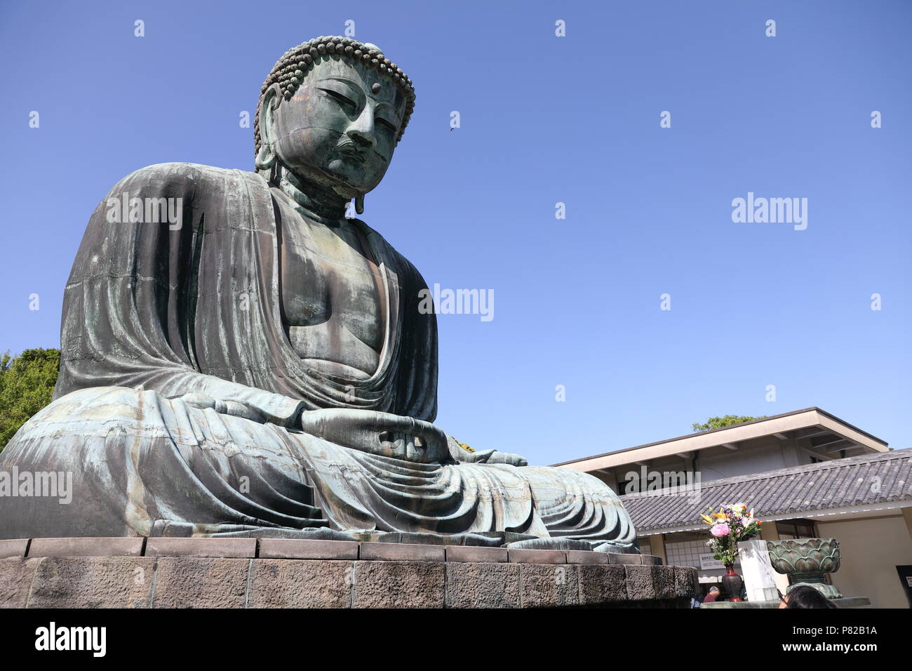 Der kamakura Daibutsu (Großen Buddha aus Kamakura) auf dem Gelände des Kotokuin Tempel in Kamakura Stadt Stockfoto