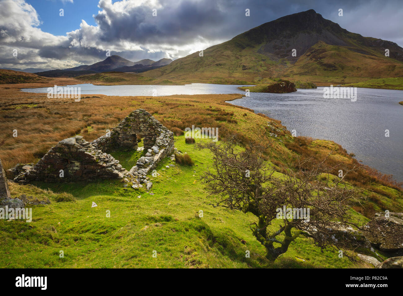 Llyn Dywarchen in der Snowdonia National Park. Stockfoto