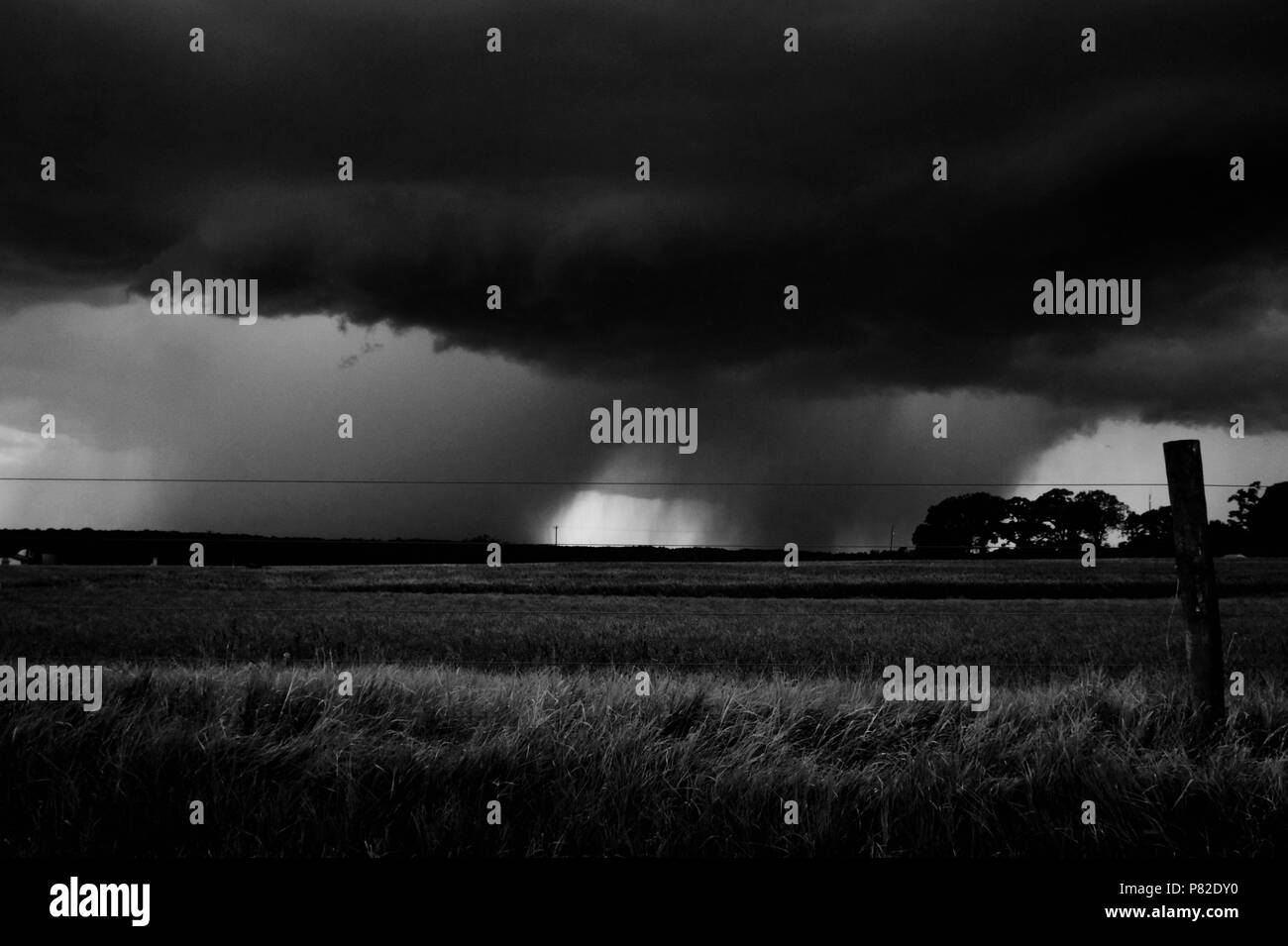 Schwarz und Weiß von einem herannahenden Gewitter über die Felder auf einem Bauernhof in Raleigh North Carolina Stockfoto