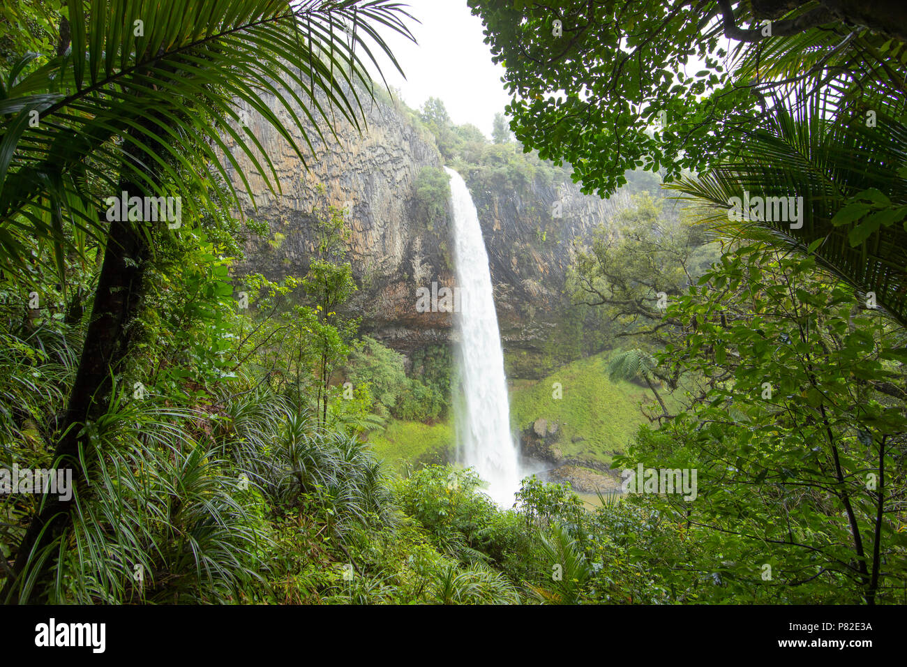 Bridal Veil Falls, Raglan, Neuseeland Stockfoto
