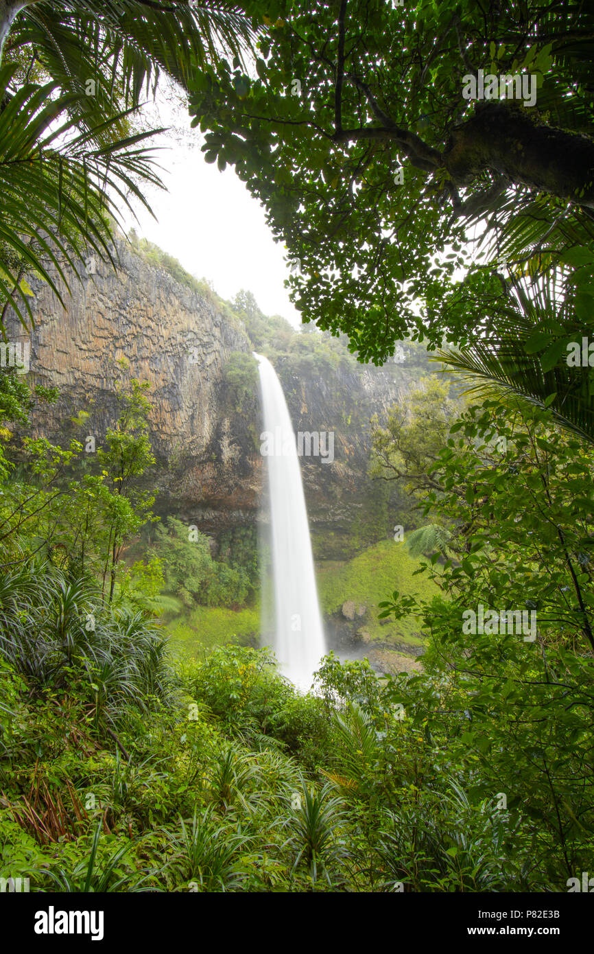 Bridal Veil Falls, Raglan, Neuseeland Stockfoto