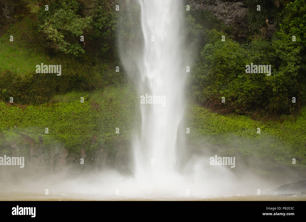 Bridal Veil Falls, Raglan, Neuseeland Stockfoto