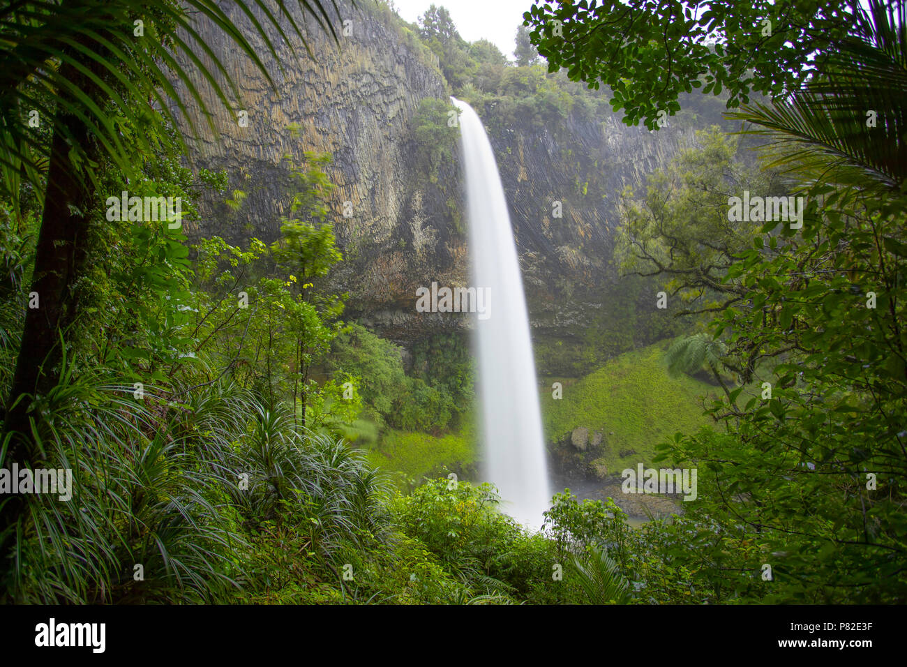 Bridal Veil Falls, Raglan, Neuseeland Stockfoto