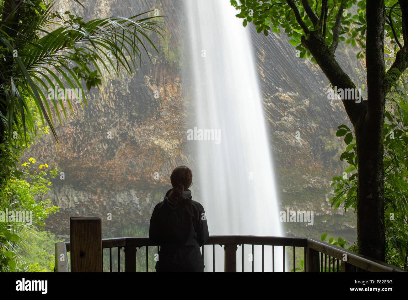 Bridal Veil Falls, Raglan, Neuseeland Stockfoto