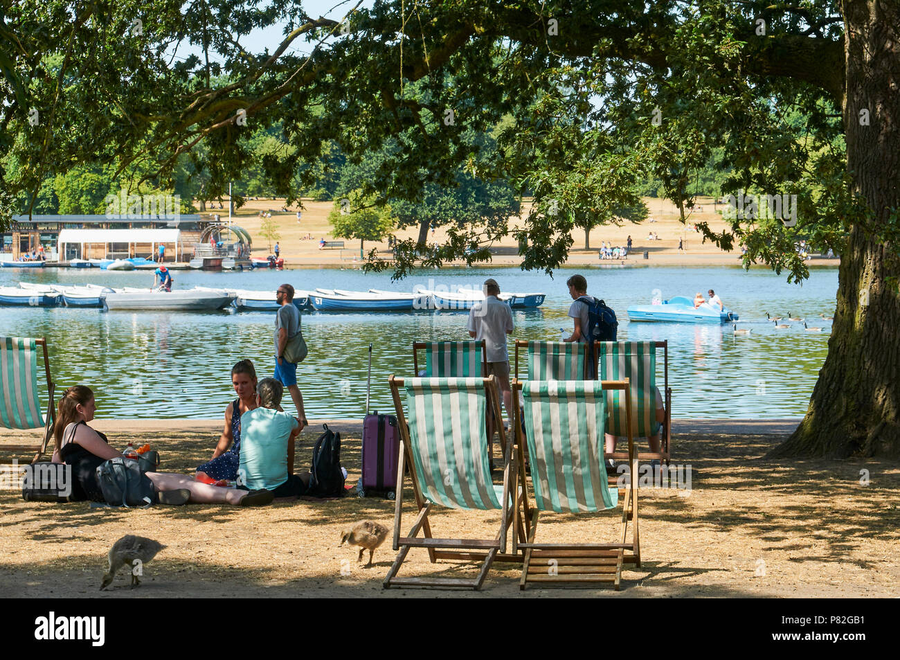 Sonnenanbeter und Wanderer im Hyde Park, London, UK, mit der Serpentine im Hintergrund, während der Juli 2018 Hitzewelle Stockfoto